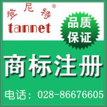 版權(quán)代理 文化產(chǎn)業(yè)的隱形守護(hù)者與商業(yè)橋梁